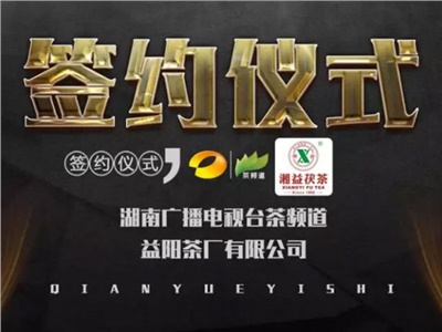 湘益茯，美茗揚(yáng) 丨湘益茯茶與茶頻道達(dá)成長(zhǎng)期戰(zhàn)略合作