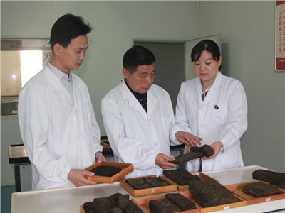 傳承茯茶非遺技藝、開拓創(chuàng)新引領行業(yè)發(fā)展